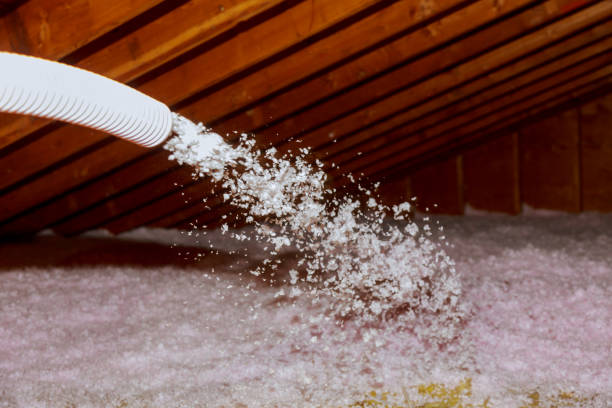 Best Commercial Insulation in South Chicago Heights, IL