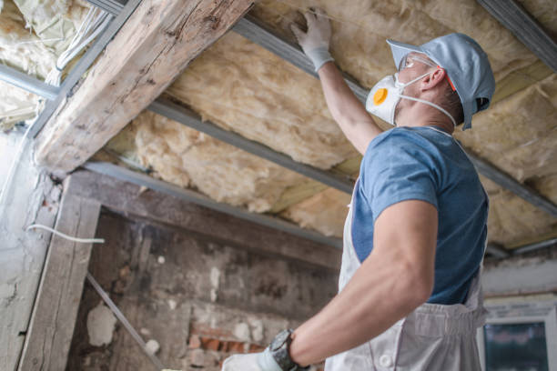 Best Insulation Installation Services in South Chicago Heights, IL