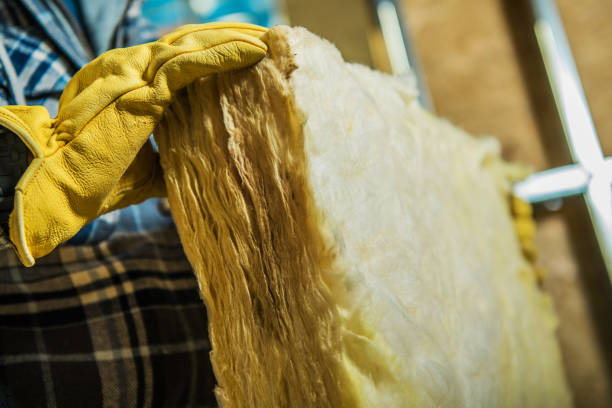 Best Insulation Installation Services in South Chicago Heights, IL